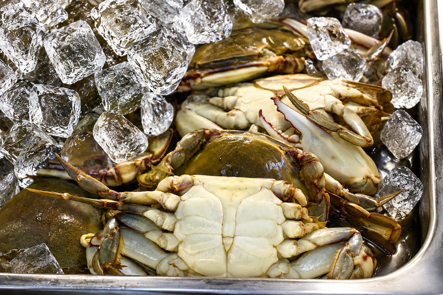 crabs